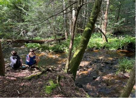neversink retreat A Place to Slow Down. Surrounded by Beauty 39