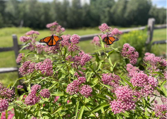 neversink retreat A Place to Slow Down. Surrounded by Beauty 51