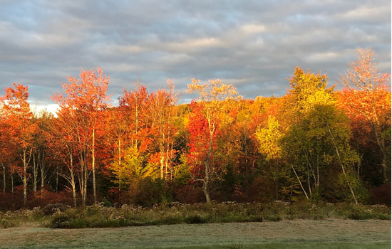 neversink retreat A Place to Slow Down. Surrounded by Beauty 52
