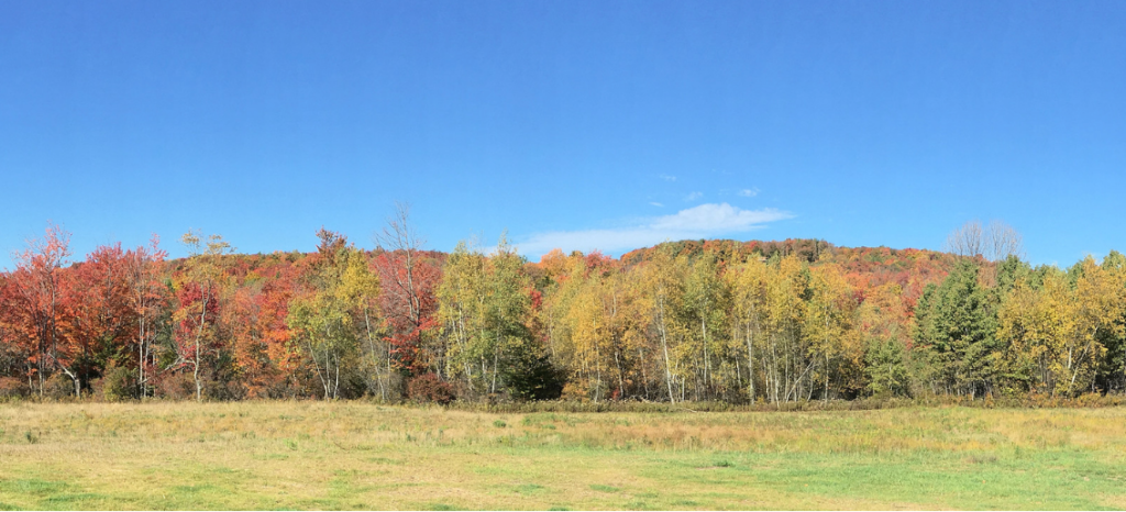 neversink retreat A Place to Slow Down. Surrounded by Beauty 54