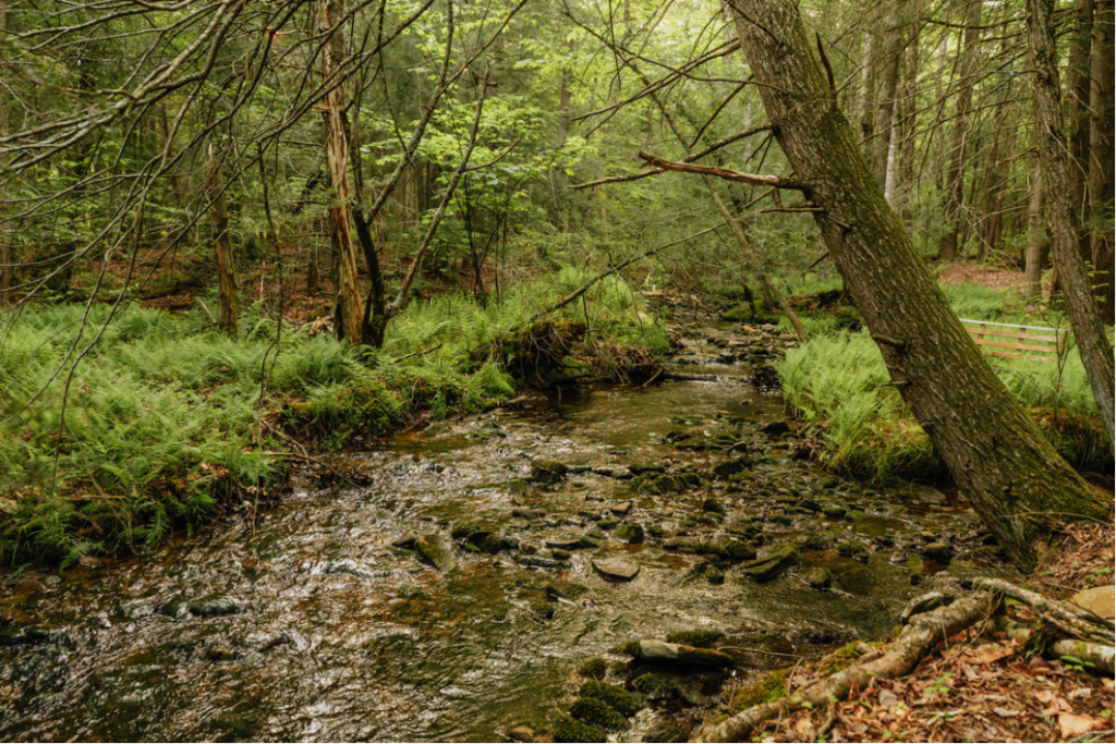 neversink retreat A Place to Slow Down. Surrounded by Beauty 58