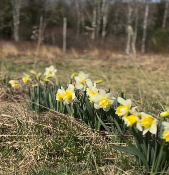 neversink retreat A Place to Slow Down. Surrounded by Beauty 65