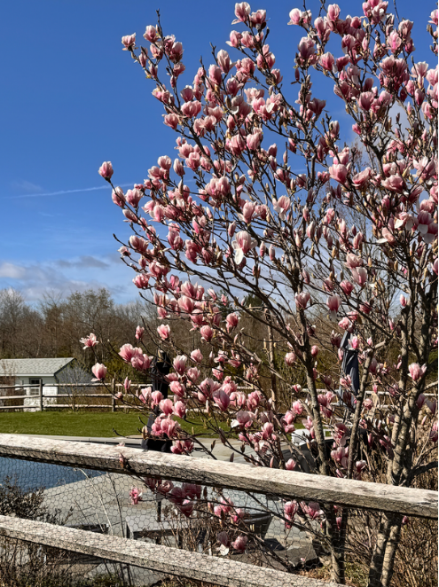 neversink retreat A Place to Slow Down. Surrounded by Beauty 66
